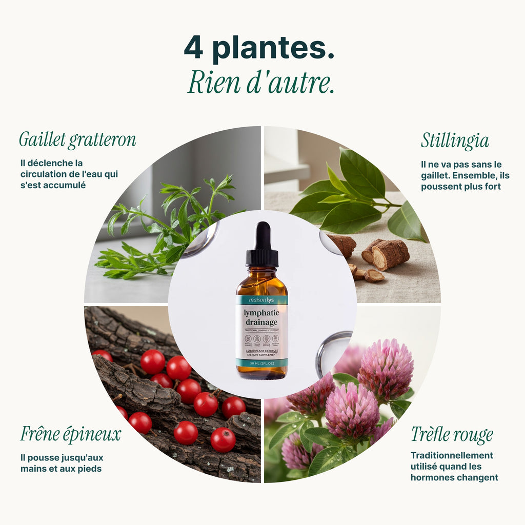 Les quatre plantes drainantes de la formule