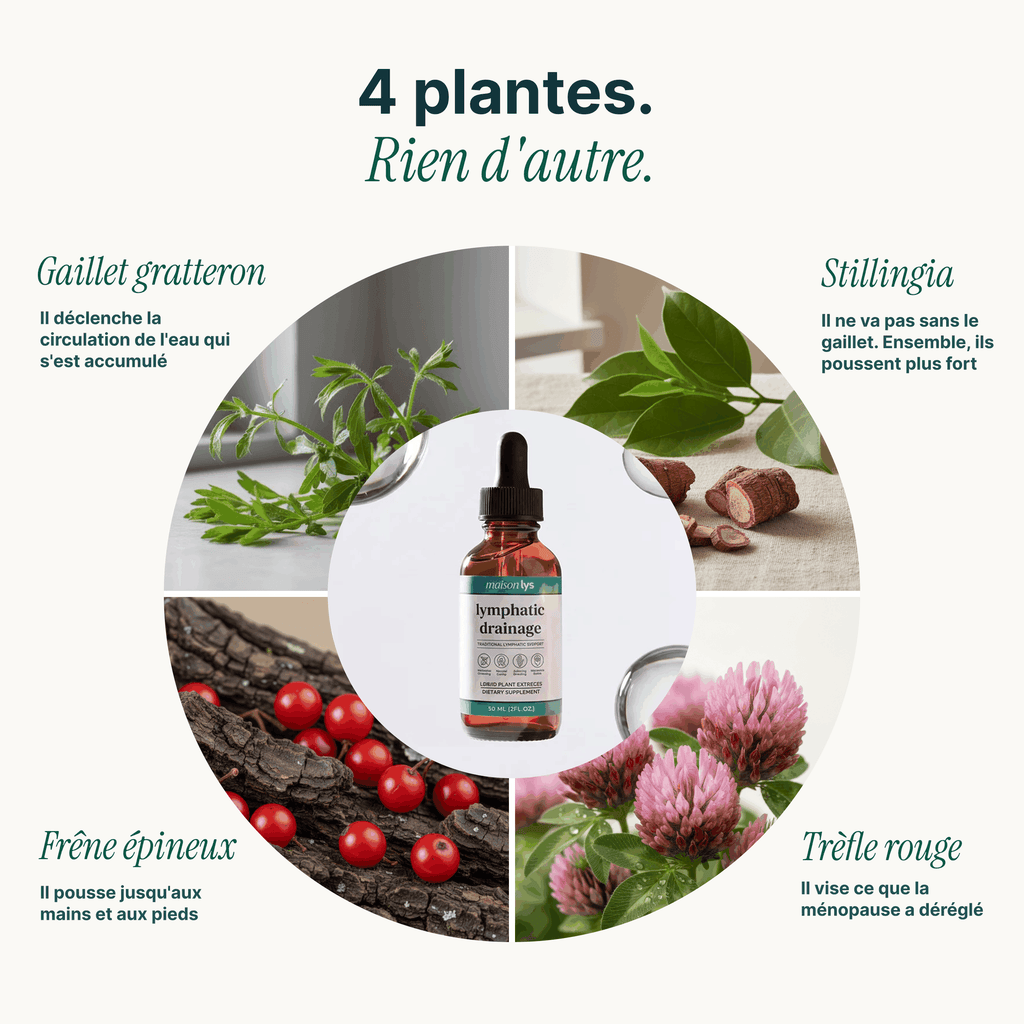 Les quatre plantes de la formule